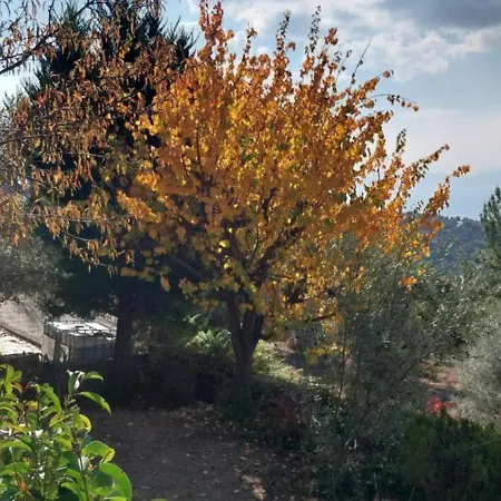 Panorama Afetes Сasa de vacaciones Afétai