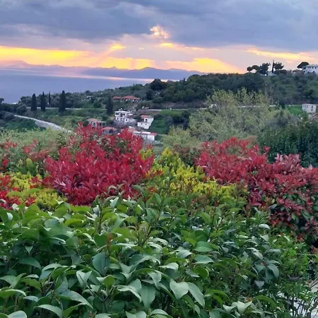 Panorama Afetes *