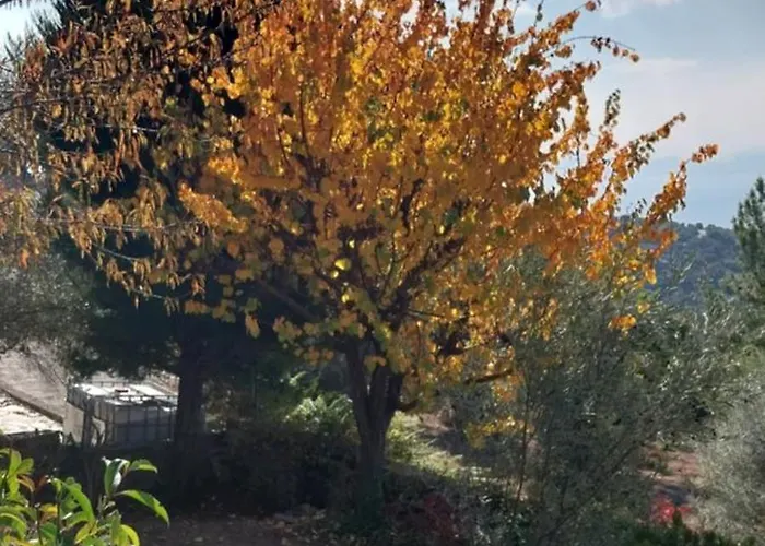 Panorama Afetes Case de vacanță Afétai